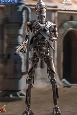 1/6 Scale IG-11