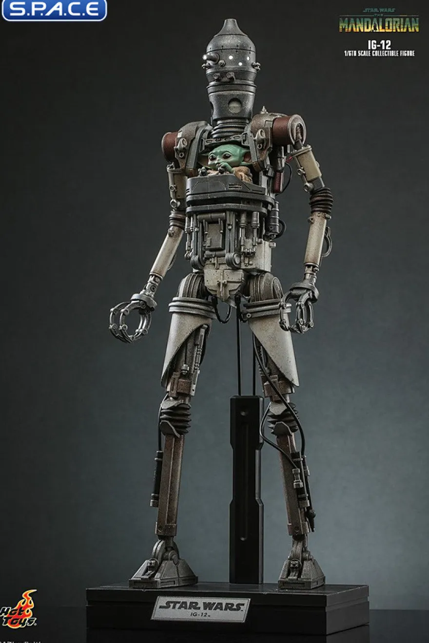 1/6 Scale IG-12 TV Masterpiece TMS104