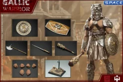 1/6 Scale Imperial Army Hunting Ground Fighter Gaul Warrior