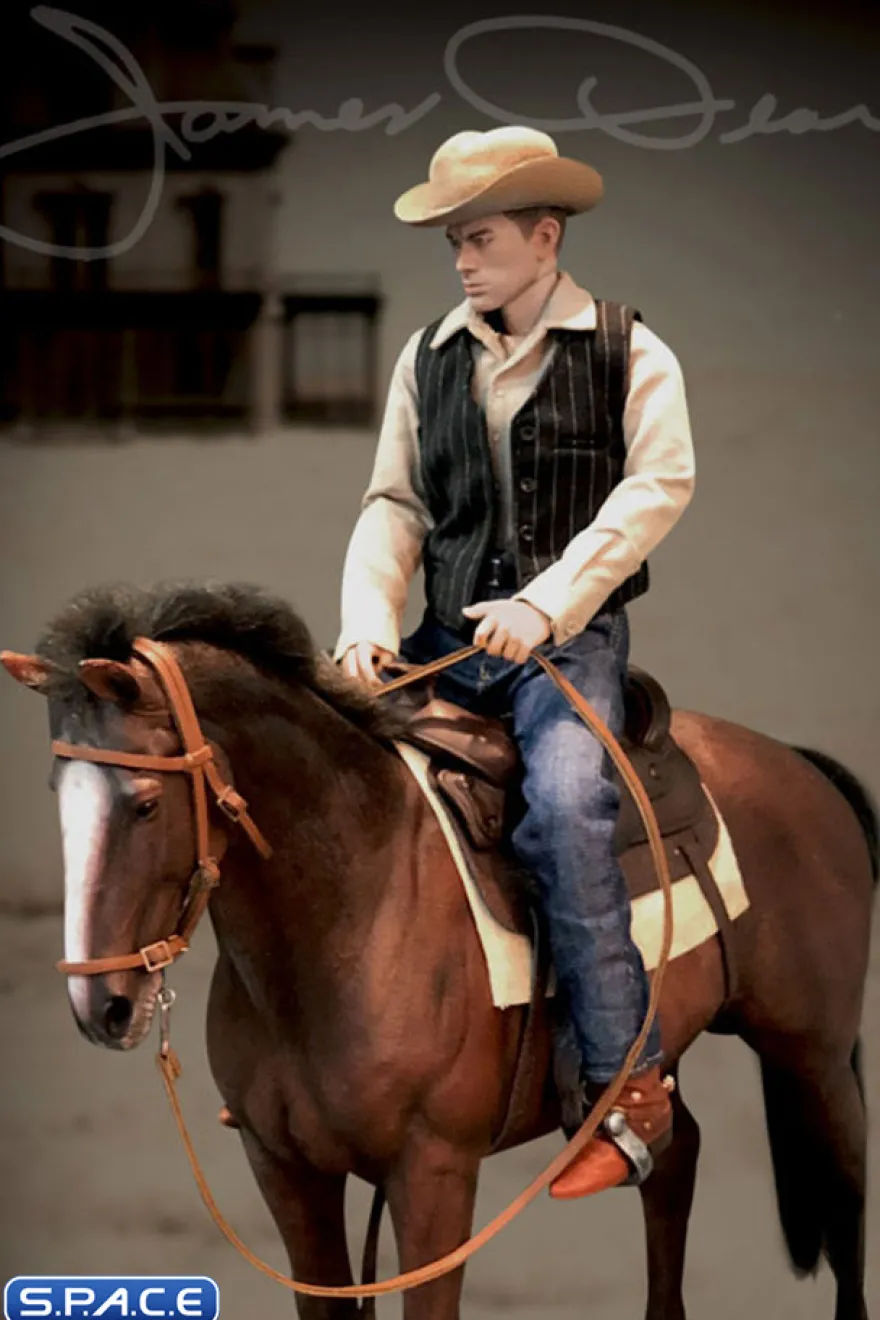 1/6 Scale James Dean Deluxe Version