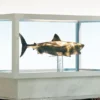 1/18 Scale Jaws Bronze Maquette