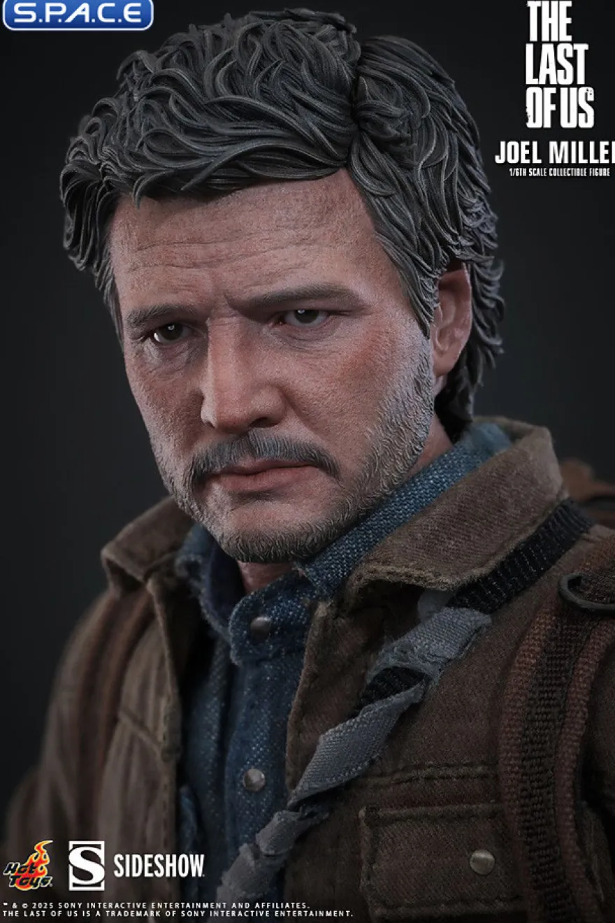 1/6 Scale Joel Miller TV Masterpiece TMS160
