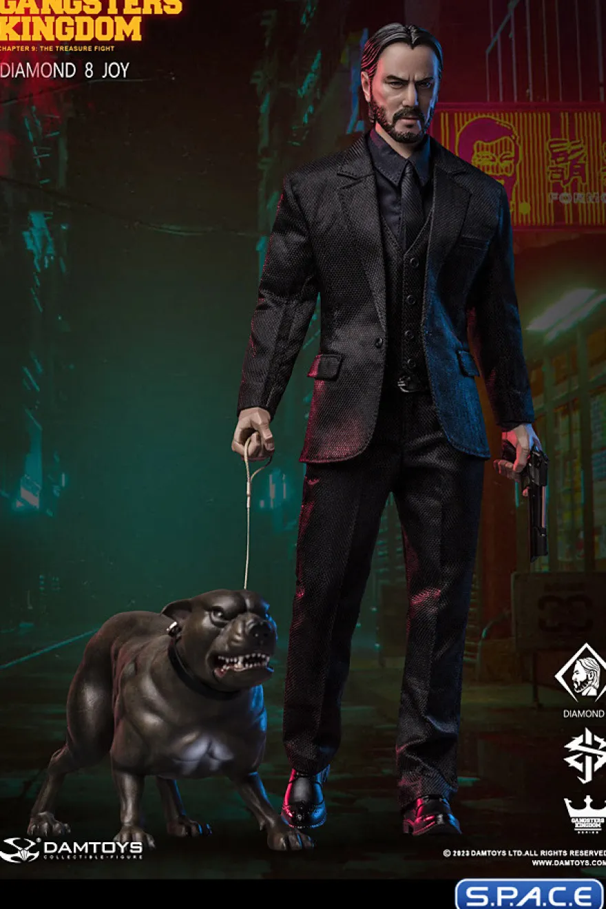 1/6 Scale Joy - Diamond 8