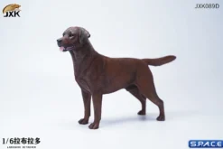 1/6 Scale Labrador Retriever