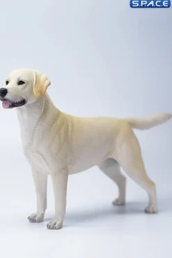 1/6 Scale Labrador Retriever