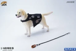 1/6 Scale Labrador Retriever
