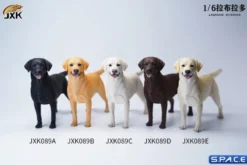 1/6 Scale Labrador Retriever