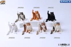 1/6 Scale lazy Cat