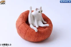 1/6 Scale lazy Cat