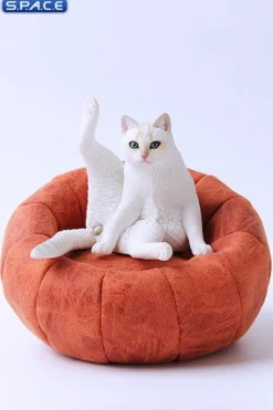 1/6 Scale lazy Cat