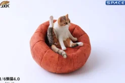 1/6 Scale lazy Cat