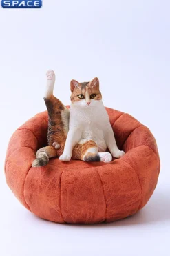 1/6 Scale lazy Cat