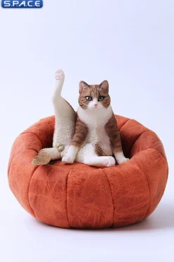 1/6 Scale lazy Cat