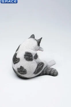 1/6 Scale Lazy Cat 6.0
