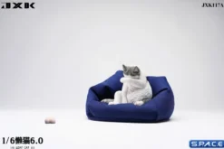 1/6 Scale Lazy Cat 6.0