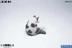1/6 Scale Lazy Cat 6.0