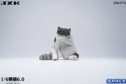 1/6 Scale Lazy Cat 6.0