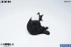 1/6 Scale Lazy Cat 6.0