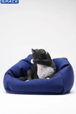 1/6 Scale Lazy Cat 6.0