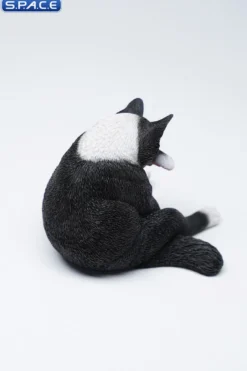 1/6 Scale Lazy Cat 6.0