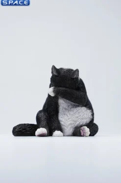 1/6 Scale Lazy Cat 6.0