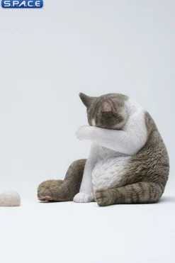 1/6 Scale Lazy Cat 6.0