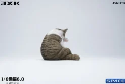 1/6 Scale Lazy Cat 6.0