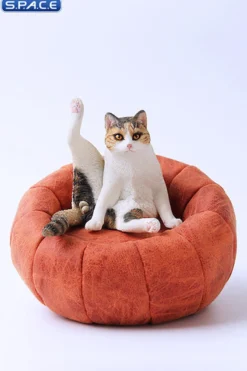 1/6 Scale lazy Cat (dark brown/white)