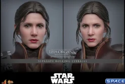 1/6 Scale Leia Organa »Boushh Disguise« Movie Masterpiece MMS854