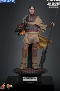 1/6 Scale Leia Organa »Boushh Disguise« Movie Masterpiece MMS854