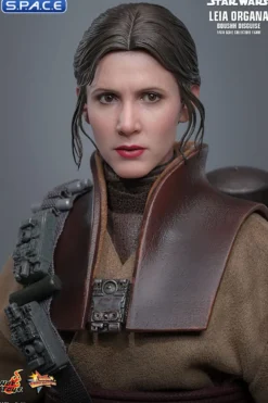 1/6 Scale Leia Organa »Boushh Disguise« Movie Masterpiece MMS854