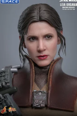 1/6 Scale Leia Organa »Boushh Disguise« Movie Masterpiece MMS854