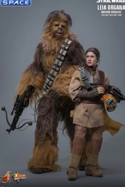1/6 Scale Leia Organa »Boushh Disguise« Movie Masterpiece MMS854