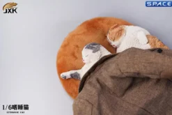 1/6 Scale lethargic Cat