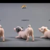 1/6 Scale Little Pig A1