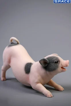 1/6 Scale Little Pig A1