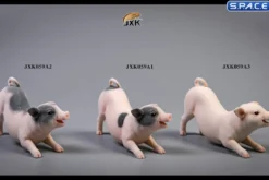 1/6 Scale Little Pig A1