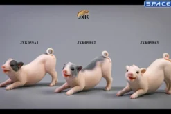1/6 Scale Little Pig A1