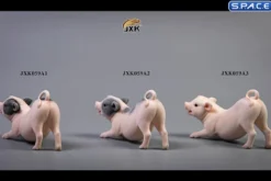 1/6 Scale Little Pig A2