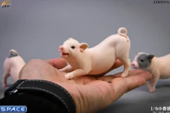 1/6 Scale Little Pig A3