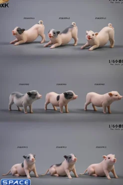 1/6 Scale Little Pig B2
