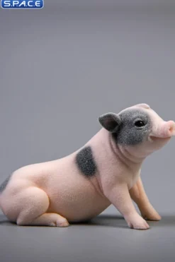 1/6 Scale Little Pig C1