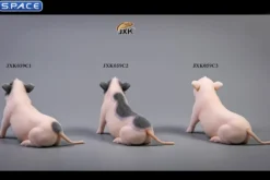 1/6 Scale Little Pig C1