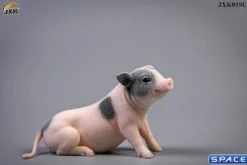 1/6 Scale Little Pig C1