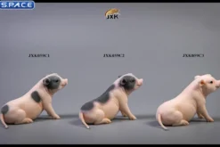 1/6 Scale Little Pig C1