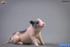 1/6 Scale Little Pig C2