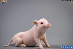 1/6 Scale Little Pig C3