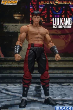 1/12 Scale Liu Kang
