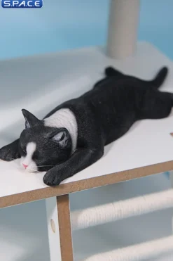 1/6 Scale lying Cat