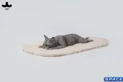1/6 Scale lying Cat